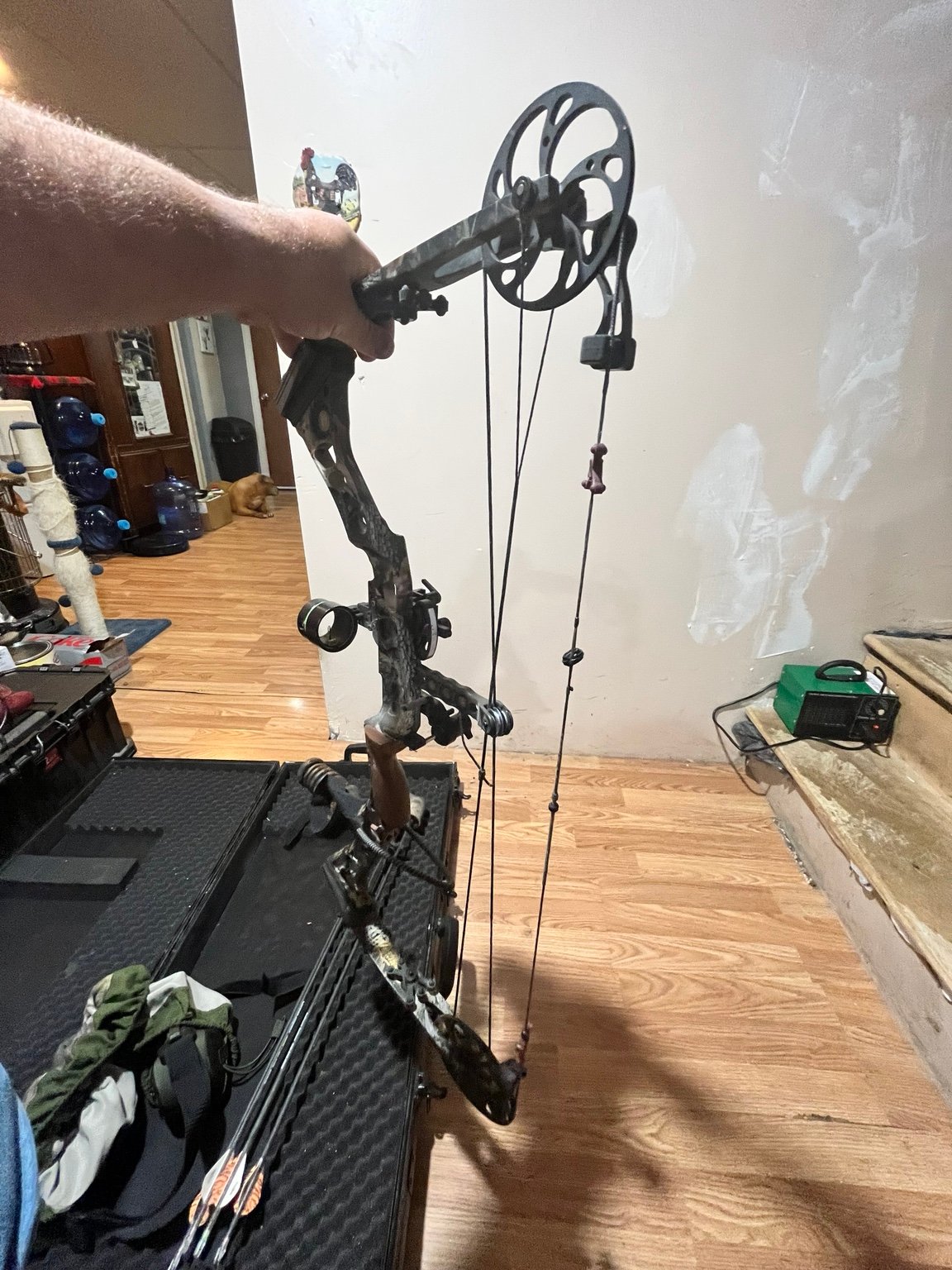 Mathews Switchback XT bow detail