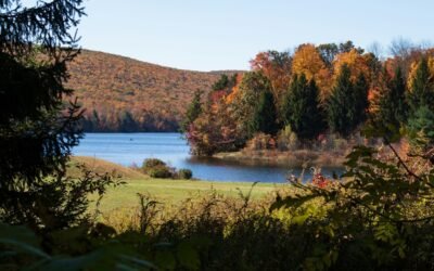 Hiking in Schuylkill County: Trails, Ridges and Appalachian Trail Access