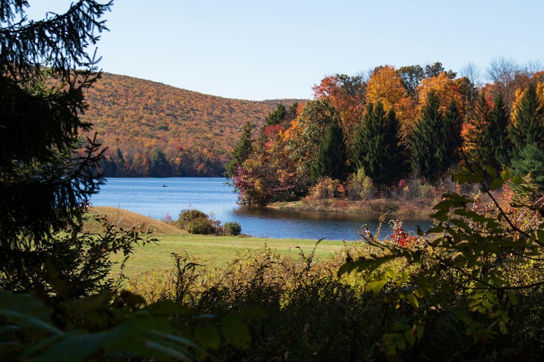 fall foliage in Schuylkill County in Schuylkill County Pennsylvania