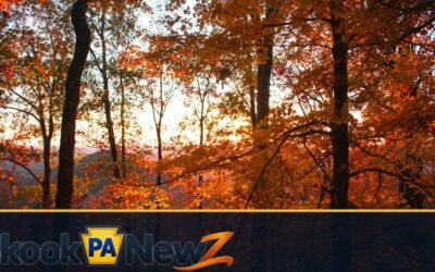 Better Schuylkill County Photos: A Simple Guide for Your Next Local Outing