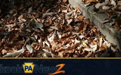 Before the Heat Goes On: A Schuylkill County Guide to Carbon Monoxide, Smoke Alarms and Safer Homes