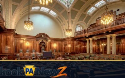 Pottsville Considers Restrictions on Kratom, Tianeptine and Other Products Under Proposed Ordinance