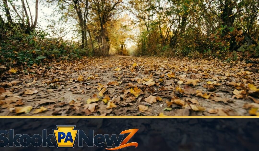 Schuylkill County Road Closures and Detours: How to Verify Information Before You Drive