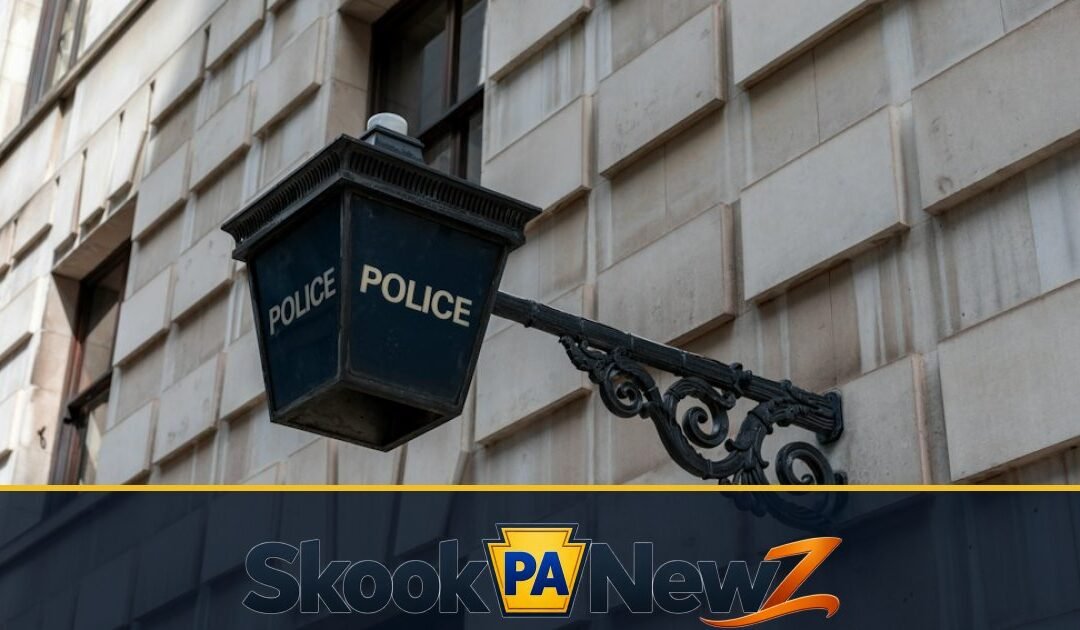 Pottsville Man Faces Assault, Strangulation and Theft Charges After Domestic Incident, Police Say