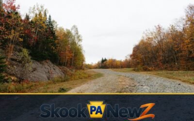 Pennsylvania Opens 468 Miles of State Forest Roads: What Schuylkill Outdoor Visitors Should Know