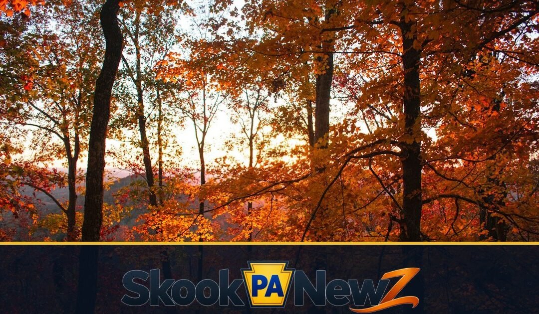 Better Schuylkill County Photos: A Simple Guide for Your Next Local Outing