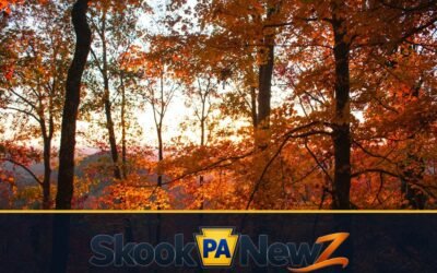 Better Schuylkill County Photos: A Simple Guide for Your Next Local Outing