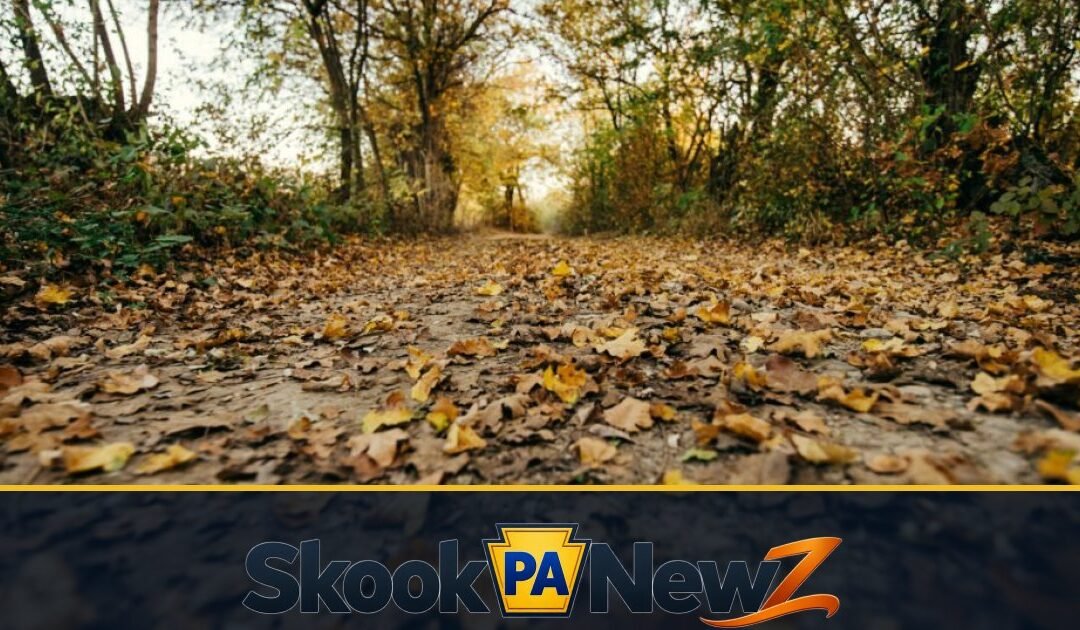 Schuylkill County Road Closures and Detours: How to Verify Information Before You Drive
