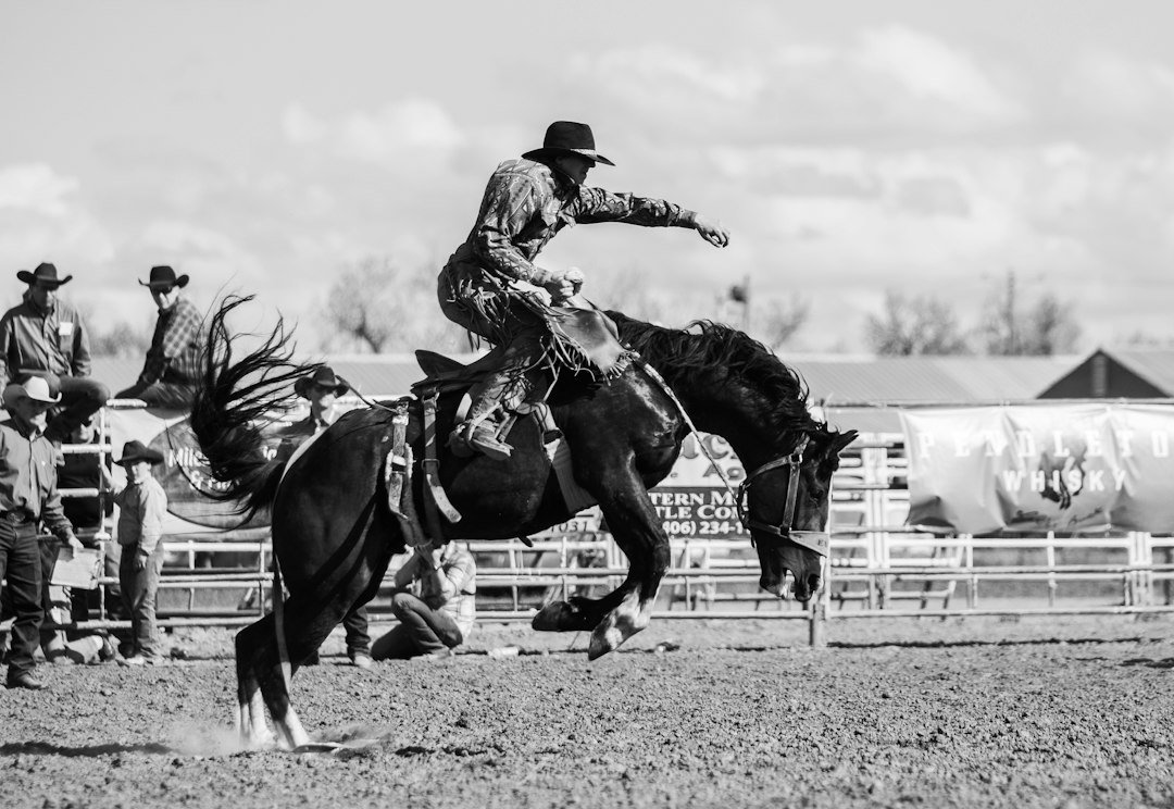 Jinete de rodeo, foto ilustrativa ajena al evento